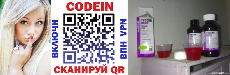 где можно купить   Будённовск  Кодеиновый сироп Lean Purple Drank 