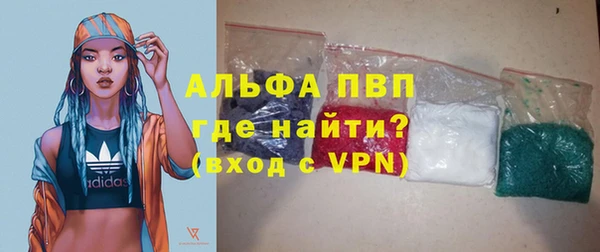 сатива Рославль