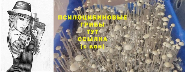 сатива Рославль
