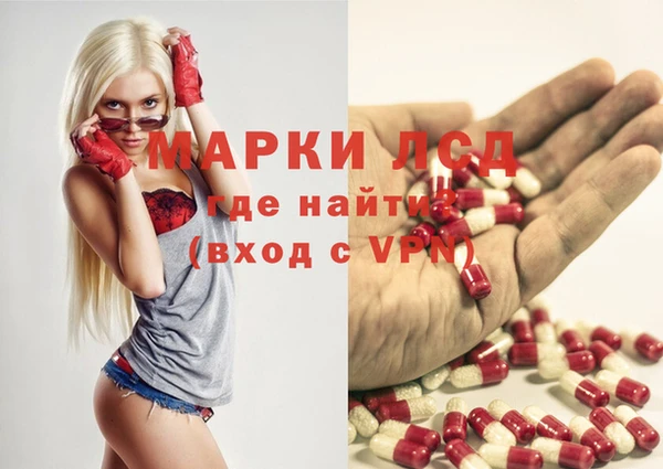 Альфа ПВП Ростов