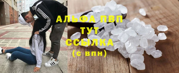 Альфа ПВП Ростов