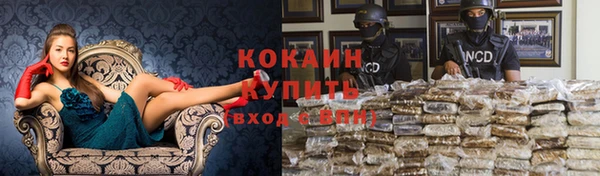 прущие крисы Бородино