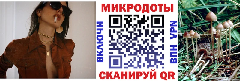 hydra ссылки  Будённовск  Галлюциногенные грибы MAGIC MUSHROOMS 
